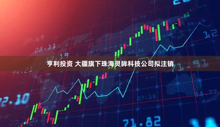亨利投资 大疆旗下珠海灵眸科技公司拟注销