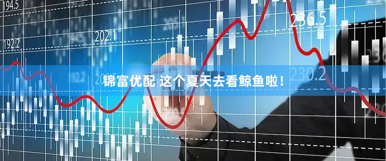 锦富优配 这个夏天去看鲸鱼啦！