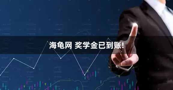 海龟网 奖学金已到账!